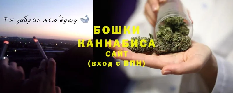 Шишки марихуана Bruce Banner  наркошоп  Рыльск 